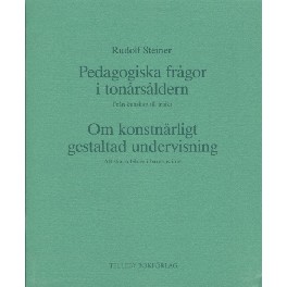 Pedagogiske frågor i tonårsåldern. Pedagogiske frågor i tonårsåldern.