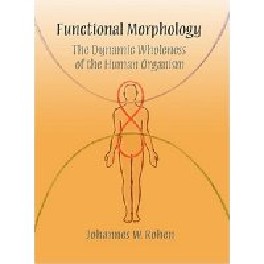 Functional Morphology. The Dynamic Whole