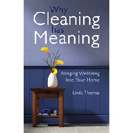 Why Cleaning has Meaning Why Cleaning has Meaning