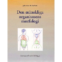 Den mänskliga organismens morfologi