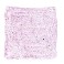 Bivoksfarveblok - 24 rosa