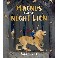 Magnus and the night Lion