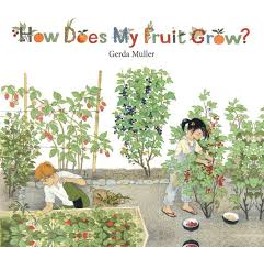 How does my Fruit grow?