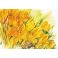 Blomster, 3 dobbeltkort - gullige