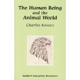 The Human being and the animal world