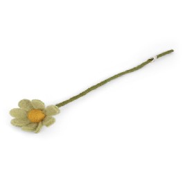 Anemone, støvet lysegrøn - filt