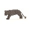 Panter