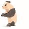 Panda, stående