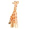 Giraf, lille, hoved højt